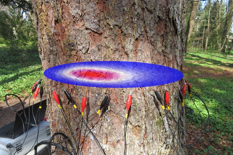 亚洲必赢·bwin(中国唯一)官方网站