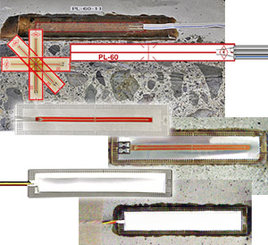亚洲必赢·bwin(中国唯一)官方网站
