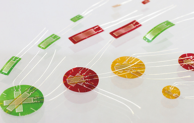 亚洲必赢·bwin(中国唯一)官方网站