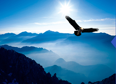 亚洲必赢·bwin(中国唯一)官方网站