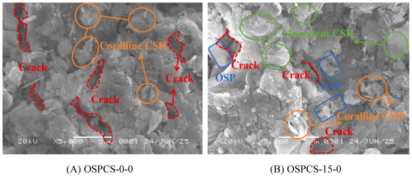 亚洲必赢·bwin(中国唯一)官方网站