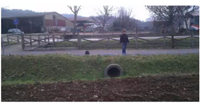 亚洲必赢·bwin(中国唯一)官方网站